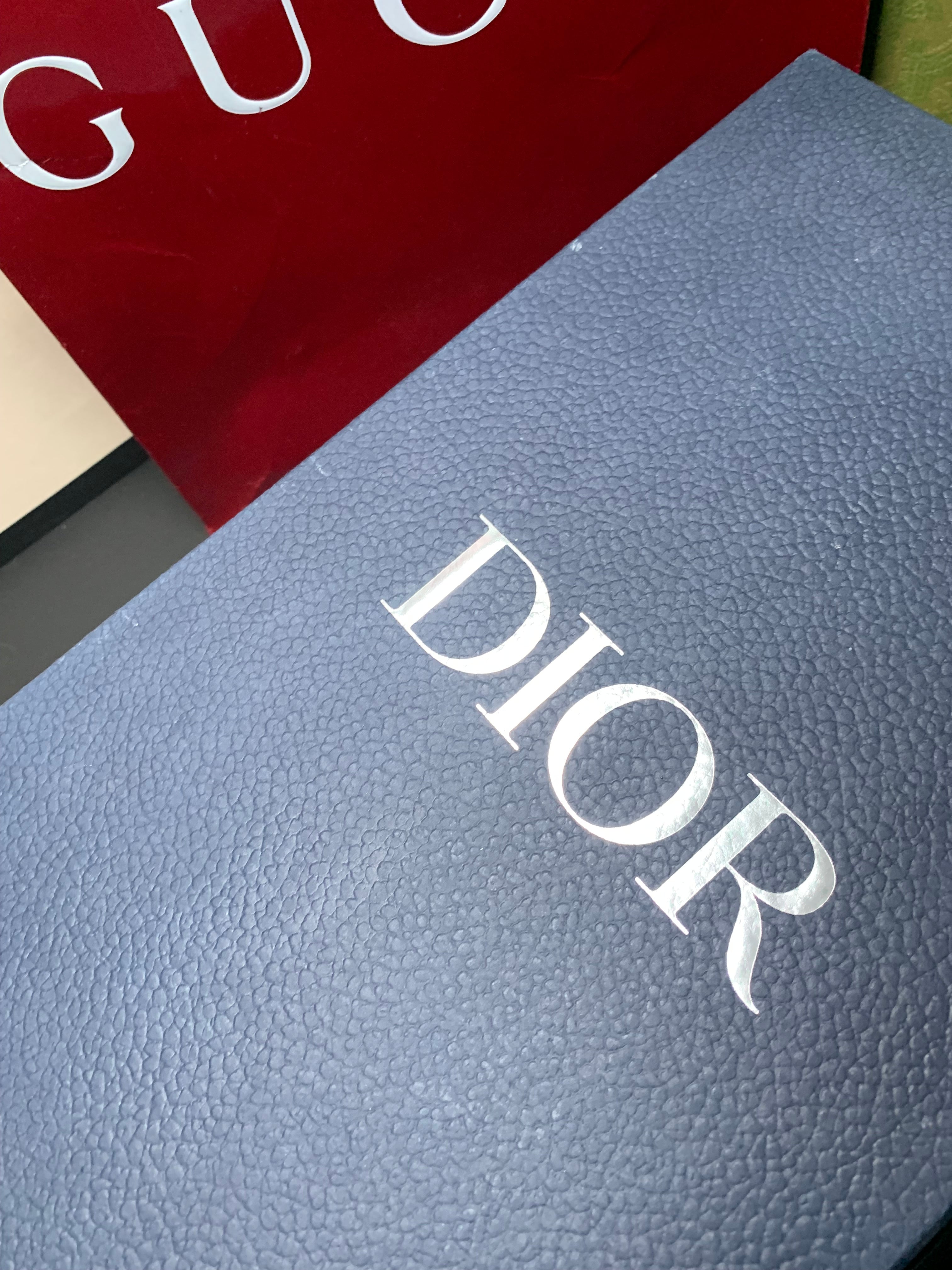 Dior B23 LT oblique